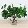 Fleurs décoratives Grand arbre tropical Plantes vertes artificielles Grand 38''Fake Ficus Branch Plastic Eucalyptus Leaf False Banyan For