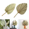 Decorative Flowers Natural Dried Flower Palm Leaf DIY Art Wall Hanging Decoration For Wedding Arch Arrangement Party Home Decor Po Props