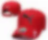 2023 Cappellini a sfera con ricamo di qualità Cappello da camion moda Uomo Donna Cappuccio regolabile N9
