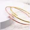 Smycken Klassiskt märke Designer Choker Halsband Hängen Halsband Par Rostfritt stål Kedjemanschett Nagelchokers Guld Silver Rosy Smycken Present för kvinnor