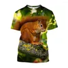 Hommes T-shirts Jumeast 3D Écureuil Imprimé T-shirts Lisse Confort Respirant Mignon Animal Graphique Chemise Pour Hommes Lâche Kawaii Vêtements