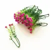 Plastiska falska blommor fulla av stj￤rnor Hemma gr￤smatta tr￤dg￥rdsvy Skottdekoration