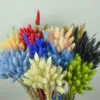 Couronnes de fleurs décoratives 50pcs fleurs sèches bouquet coloré queue de lapin herbe fleurs séchées bricolage maison mariage jardin décoration fournitures de fête T230217