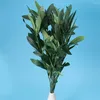 Decoratieve bloemen olijftakken kunstmatige groene nep stengels faux tak stengel buiten bladeren vazen ​​potten vaas picks boom eucalyptus