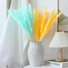 Decoratieve bloemen Natuurlijk echt gedroogd Reed Pampas Grass Bouquet Diy Handgemaakte hooi -combinatie Boheemian voor huwelijkshuistafel Dekoratie