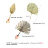 Decorative Flowers YOMDID Palm Fan Leaf Flower Window Reception Party Art Wall Hanging Decoration Wedding Arch Arrangement