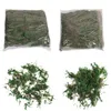 Decorative Flowers Simulated Permanent Moss Turf Artificial Shop Window Plant Decoration Potted Landscape