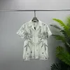 Männer Designer Shirts Sommer Kurzarm Casual Shirts Mode Lose Polos Strand Stil Atmungsaktive T-shirts T-shirts Kleidung #10