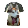 T-shirts pour hommes Jumeast 3D Husky sibérien imprimé T-shirt mignon chien de compagnie chemise graphique pour hommes décontracté grande taille T-shirts goutte à goutte Kawaii vêtements