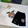 Conjuntos de roupas infantis letra tiger padr￣o meninos meninas traje tracksuit de ver￣o de manga curta camisetas e shorts conjuntos de designers de luxo camisetas tops shorts