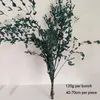 Decoratieve bloemen kransen natuurlijke eucalyptus bladeren takken bewaard gebleven fijn bladplant real touch gedroogde slinger trouwhuisdecoratie