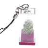 Decorative Figurines Succulent Plant Pendant Mini Cactus Keychain Random Keyring Charm With Glass Cover Craft Gifts