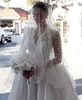 Amazing Wedding Dresses A Line Lace Bridal Gowns With Long Sleeves V Neckline Chapel Train Plus Size Vestido De Novia