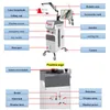 Wielofunkcyjny odrastanie włosów laser diodowy 650 nm z analizą skóry aparat przeciw włosom Wzrost włosów zimny laserowa maszyna grzebienia do leczenia wypadania włosów