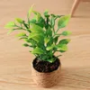 Flores decorativas Pote em miniatura Pote minúsculo BONSAI MINI ACESSÓRIOS DE FLORESPOT TRES