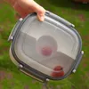 Din sets sets 1 set moderne bento doos plastic lunchcontainer lekbestendig pakket rijst herbruikbare picknick wandelen met vork