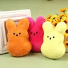 15cm Cute Plush Bunny Rabbit Peep Easter Toys Simulation Stuffed Animal Doll For Kids Children Soft Pillow Gifts Girl Toy Wholesale