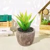 Kwiaty dekoracyjne sztuczne soczyste mini fałszywe rośliny doniczkowe Bonsai Creative Living Room Sypialnia Desktop Ozdoby symulacyjne