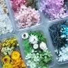 Dekorativa blommor Diy Real Dried Flower Box Festival Party Candle Epoxy Harts Pendant Halsband smycken gör hantverk