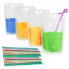 DHL 24h ship Water Bottles Plastic Drink Pouches Bags with Straws Reclosable Zipper Non-Toxic Disposable Drinking Container Party Tableware GG0221