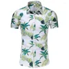 Camisas casuais masculinas masculino masculino masculino Camisa de praia de praia Men de manga curta Slim Turn Down Collar Blouse Plus Size