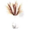 Dekorativa blommor -60 stycken torkade pampas gräsdekorationer - naturliga blommor buketter för boho dekor hem blommor arrangemang