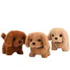 Dolls de pelúcia 18cm Perro Peluche Robot Puppy Plush Toys Interactive Cute Dog Robot engraçado abanando brinquedos de aniversário de aniversário para crianças e cachorros 230220