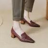 Kledingschoenen vintage volwassen vrouwen pumps hoogwaardige echte lederen kantoor dames dikke hakken vrouw 2023 lente herfst