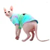 Costumi per gatti Abiti di design tie-dye per gatti Sfinge Cornish/Devon Rex T-shirt manica corta primavera cotone gattino con cappuccio abbigliamento