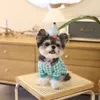 Cat Costumes Toast Plaid Autumn And Winter Warm Cute Small Dogs Dog Sweater Pet Core Yarn