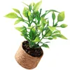 Flores decorativas Pote em miniatura Pote minúsculo BONSAI MINI ACESSÓRIOS DE FLORESPOT TRES