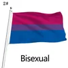 DHL Gay Flags 90x150cm Rainbow Things Pride Bisexual Lesbian Pansexual LGBT Accessories Flags CPA4205 0221