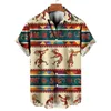 Vrijetijdsoverhemden voor heren Dagelijks overhemd voor heren Oversized Ruimvallend Hawaiiaans Herenmode Straatsweater Zomerrevers Korte mouwen Heren