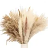 Flores decorativas A50i Pampas Grass Decor Alto macio seco para plantas de arranjo floral Sala de estar de cozinha de casamento