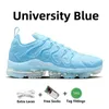 Nike Air VaporMax Plus TN Mens Womens Running Shoes Triple Off White Black Royal Creamsicle Metallic Gold Anthracite Atlanta Trainers 스포츠 스니커즈