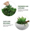 Decorative Flowers Fake Artificial Decor Crafts Potted Terrarium Indoor Green Wall Pot Floral Mat Faux Planters Garden Wreath Making