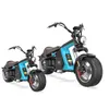 50 Mph Electric Scooter Citycoco Electric Scooter Accessories 5Kw Electric Scooter