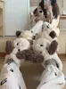 Pantoufles Drôle Mignon Chien Coton Pantoufles Femmes 2022 Nouvel Hiver Intérieur Antidérapant Et Chaud Demi Talon En Peluche Semelle Souple Maison Pantoufle Z0215 Z0215