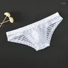 UNDUPANTS Erkekler Çizgili Kafes İç Giyim Ultra Diski Düşük Bel Alt Seksi Nefes Alma Boksör Bri Kılavuzları İç çamaşırı Sissy Panties