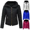 Women's Down Chic Stand Collar Solid Color Puffer Coat Winter Jacket Skin-Touch All-Match