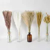 10PC Faux Floral Greenery Fiori artificiali Pampas Grass Bunny Tail Erba Piante pelose per la decorazione domestica Decorazione di nozze Z0222