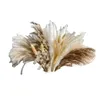 Fleurs décoratives A63I 72 Pcs Reed Pampas Set Forget-Me-Not Bouquet de fleurs séchées Décoration immortelle pour Arrangements Home Decor