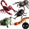 ElectricRC Hayvanlar Kızılötesi Uzaktan Kumanda Hamamböceği Simülasyon Hayvan Ürpertici Örümcek Bug Prank Eğlenceli RC Çocuk Oyuncak Hediye Yüksek Kalite Damla 230222