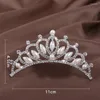 Kopfschmuck Prinzessin Krone für Mädchen Show Braut Tiara Diadem Silber Farbe Kristall Blumen Hochzeit Haarschmuck Kopfschmuck