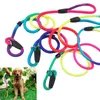 Leashes Rainbow Pet Dog Nylon Rope Training Leash Slip Lead Strap Adjustable Traction Collar