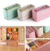 Hem Lunchlådor 3 Grid Wheat Straw Bento Transparent lock Matbehållare för arbete Travel Portable Student Lunch Boxes Containrar LT255