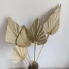 Decorative Flowers 5/10 Pcs Boho Dried Palm Natural Heart-shaped Fan Home Decoration Living Room Accessories