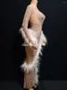 Stage Wear Sexy Mesh See Through Sparkly Strass Plume Longue Robe Soirée Celebrity Party Robes De Nuit Anniversaire Costume Costume