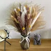 Decorative Flowers 66Pcs Dried Pampas Grass Decor Real Reed Fluffy Dry Wedding DIY Bohemian Natural Bouquet For Home