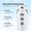 3 lägen Oral Irrigator 150 ml Vattenbehållare Portable Dental Flosser Dental Teeth Cleaner USB RADUREBLE TELTHEALING IRRIGATOR 230202